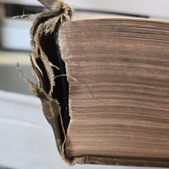 The Interpreters One-Volume Commentary on the Bible, Hardcover, 1971, 1371 pages - Picture 9 of 10